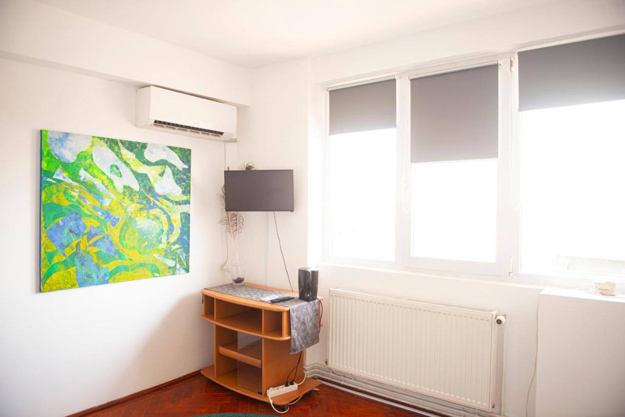 Central Apartment Timişoara Extérieur photo